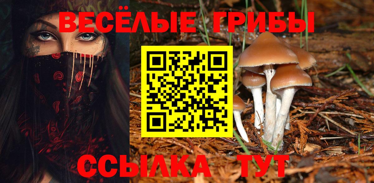 Галлюциногенные грибы мицелий Красногорск