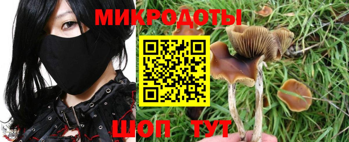 Галлюциногенные грибы Magic Shrooms  Вход с VPN  Красногорск 